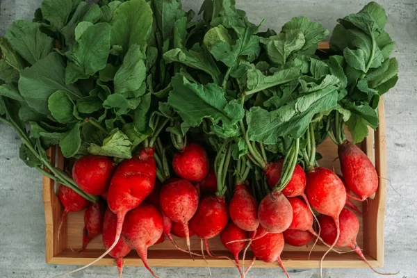 Red Radish